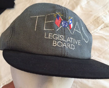 NWOT TEXAS Legislative Board State U.S. Flag Politics Gray Black Flat Bill Cap