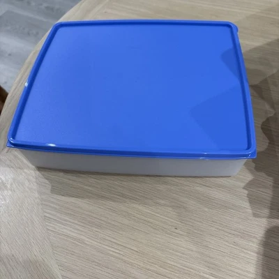 Tupperware Freezer Mates Container BLUE lid