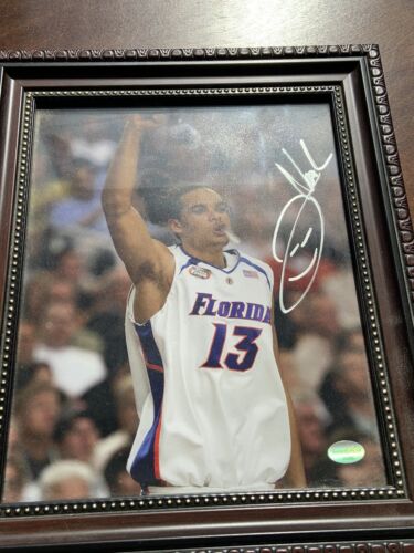 joakim noah auto 8x10. Florida Gators, Chicago Bulls. Pic Only NOT IN FRAME - Picture 2 of 5