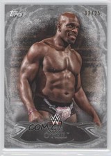 2015 Topps WWE Undisputed Silver 2/25 Titus O'Neil #6 4o3