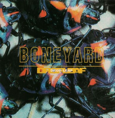 Boneyard(12'' Vinyl)Drop Leaf-Kitchenware-SKX 61-UK-VG+/NM