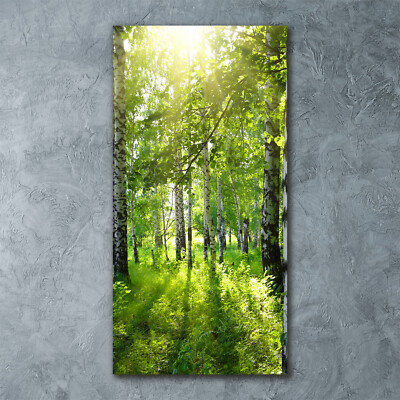 Wand-Bild Kunstdruck aus Acryl-Glas Hochformat 60x120 Birkenwald