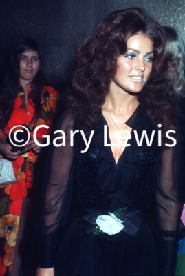 priscilla presley black dress Retrofete Quinn Dress – Glasscock Boutique main image 1