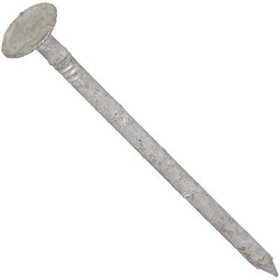 HILLMAN FASTENERS 461609 LB 2.5'' Galvanized Roof Nail