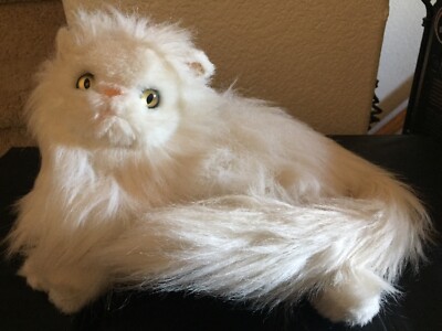 【ACME FURNITURE】花井氏STUFFED CAT with BOX ACME FURNITURE】花井氏STUFFED CAT with BOX - メルカリ