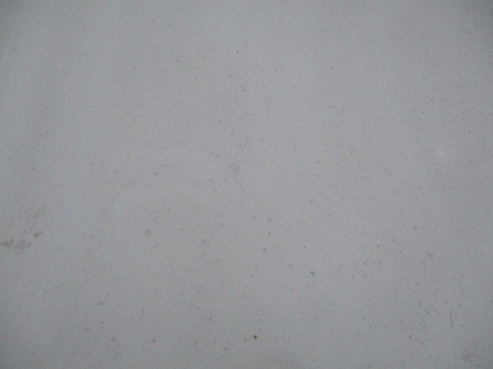 HOOD WHITE CHRYSLER MASERATI TC 89 90 91