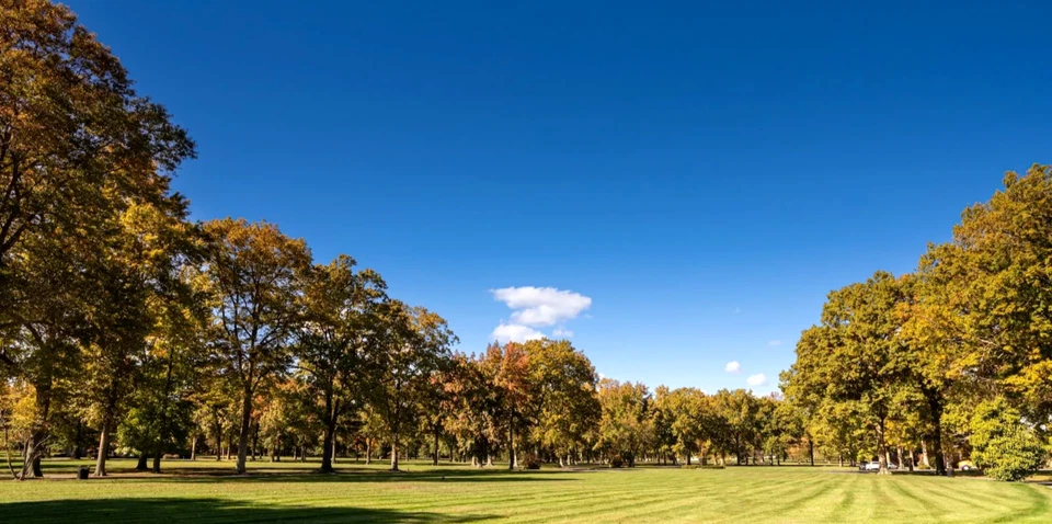 Una (1) Parcela Doble Espacio Restland Memorial Park Cemetery E. Hanover Nueva Jersey Foto 3 de 4