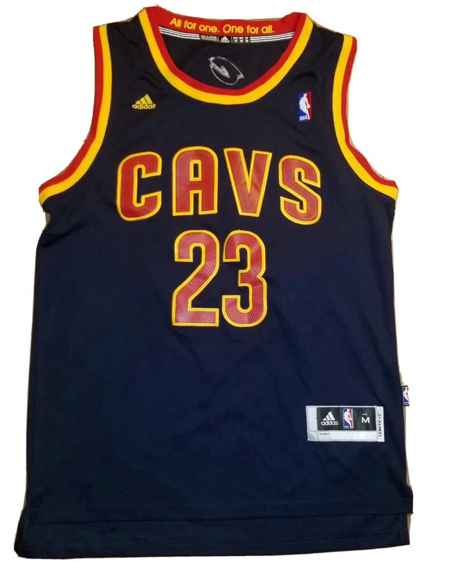 Lebron cavs on sale swingman jersey