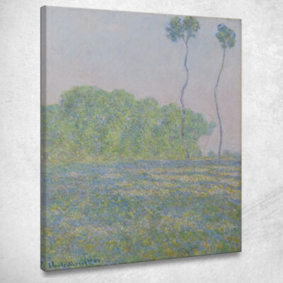 Rasen A Giverny Claude Monet, mnt279 Leinwandbild