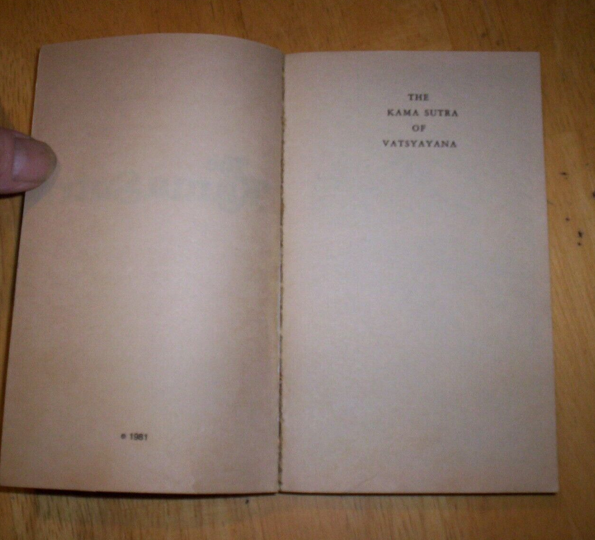 THE KAMA SUTRA BY VATSYAYANA VINTAGE SLEAZE PAPERBACK BOOK