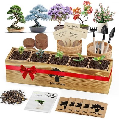 Bonsai Tree Kit for Beginners - 5 Unique Japanese Bonsai Seeds, DIY Indoor Ga...