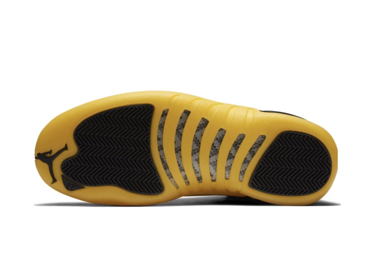 jordan 12s university