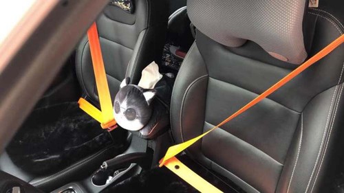 Car Color Seat Belt Replacement Renewal Webbing Racing Belts Straps 3.6M x 4.8cm - Picture 7 of 23