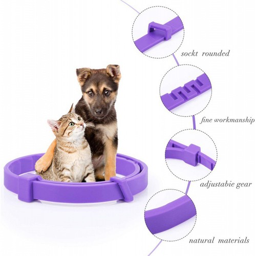 4 Pack Calming Collar for Cats Pheromone Relief Anxiety Stress Adjustable Size - Picture 7 of 11