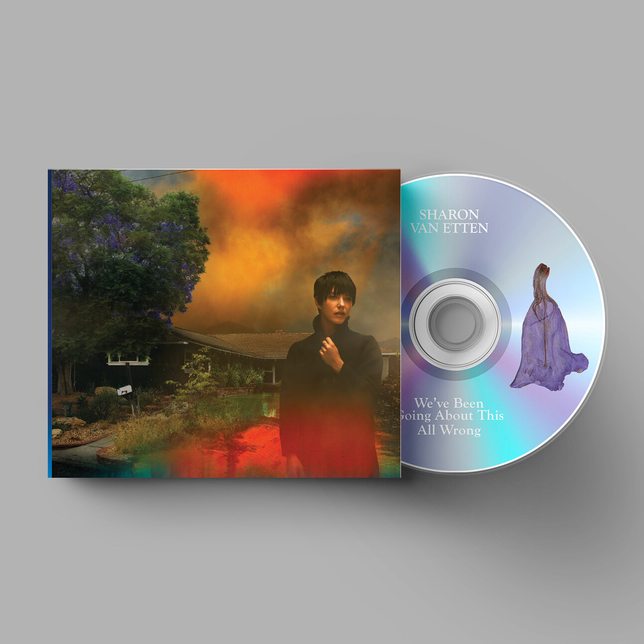Sharon Van Etten - We've Been Going About This All Wrong (Jagjaguwar) CD Album