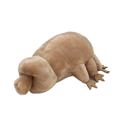 Water Bear Plush Toy Soft Tardigrade Dolls Stuffed Animals