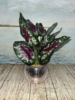 Disco Ball (pink)Pot With Plant( Pink & Green)