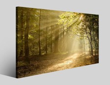 Quadri tramonti e paesaggi