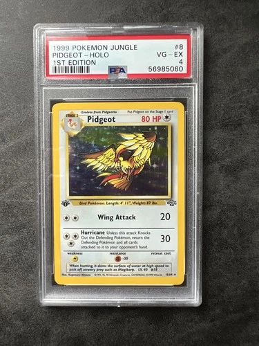 Pokemon Pidgeot Holo Rare 1st Edition Jungle #8/64 Very Good - Excellent PSA 4