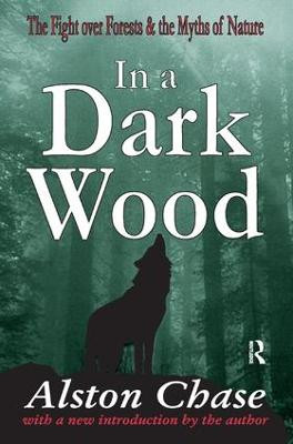 In a Dark Wood - 9781138525856