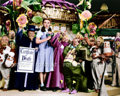 The WIZARD OF OZ Photo Picture MUNCHKINS in MUNCHKINLAND 8x10 11x14 16x20 (W16)