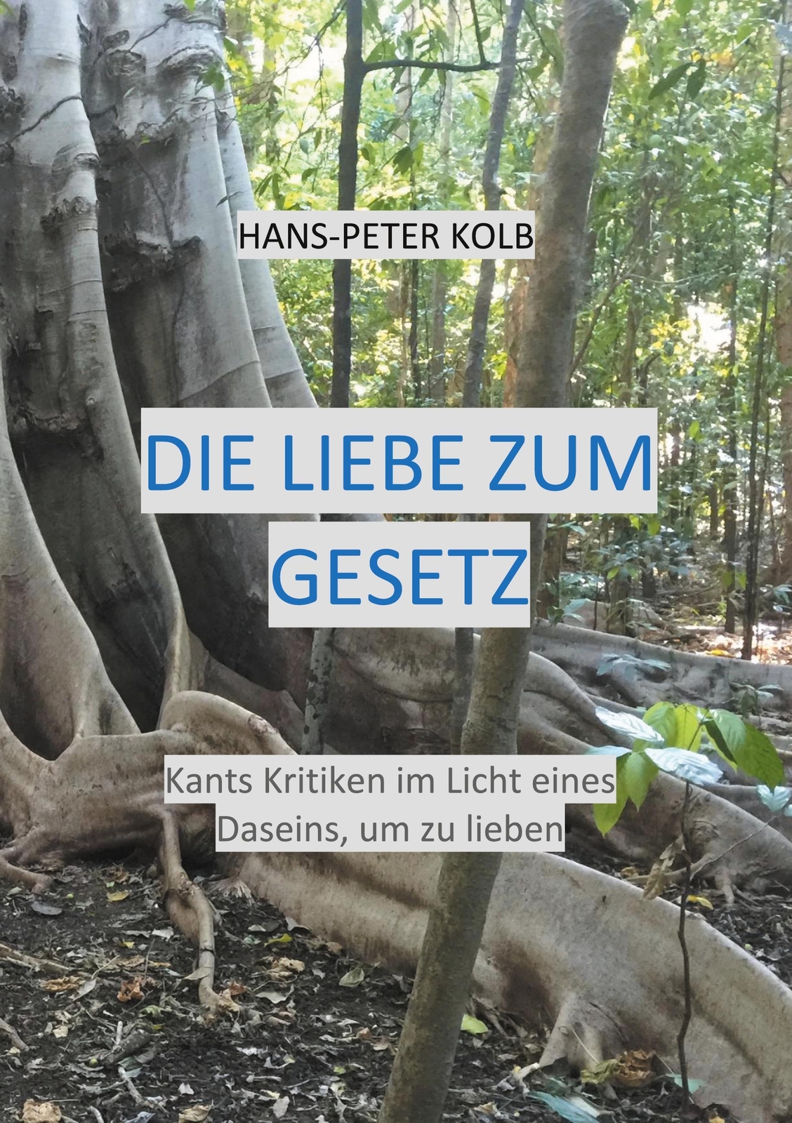 Thumbnail - Die Liebe Zum Gesetz Kants Kritiken Licht Eines Daseins, Um Zu Lieben