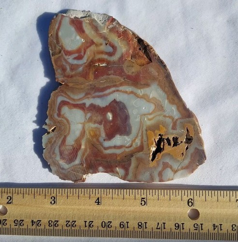 NEVADA BULL'S EYE CHALCEDONY SLAB ~ 95 grams / rough agate jasper mineral rock - Picture 6 of 13