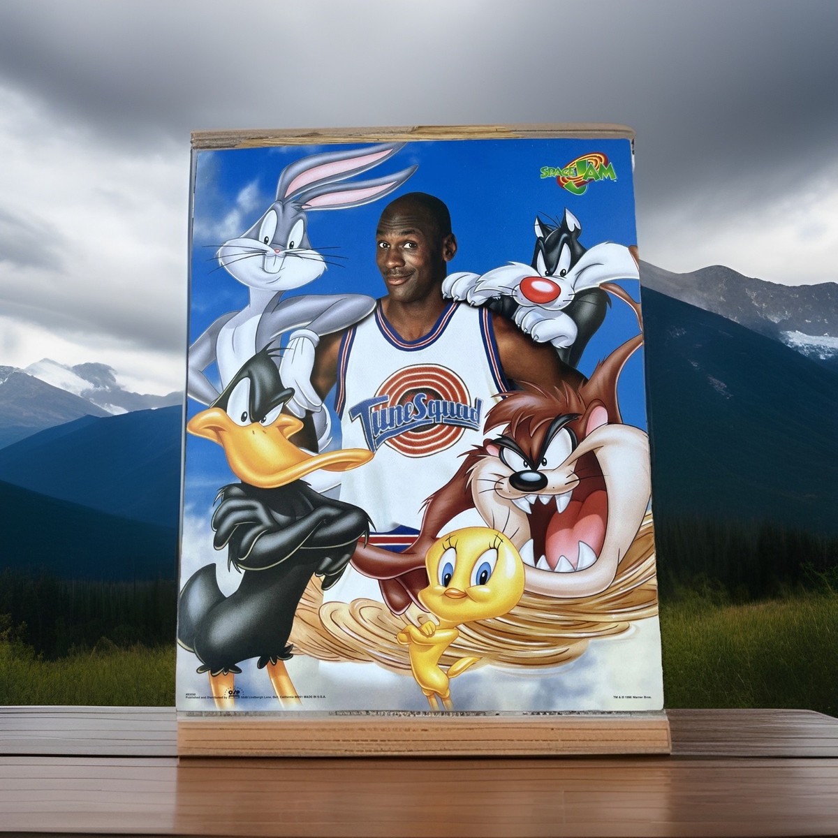 SPACE JAM マイケル・ジョーダン トーキング ポスター Vintage SPACE JAM Poster BRAND NEW - MICHAEL JORDAN Looney