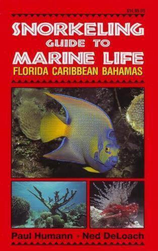 Snorkeling Guide to Marine Life: Florida, Caribbean, Bahamas by Paul Humann (Eng - Foto 1 di 1