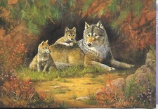 Leanin' Tree #BD19352 Den Mother Wolves 10 Blank Note Cards w/Envelopes NOS