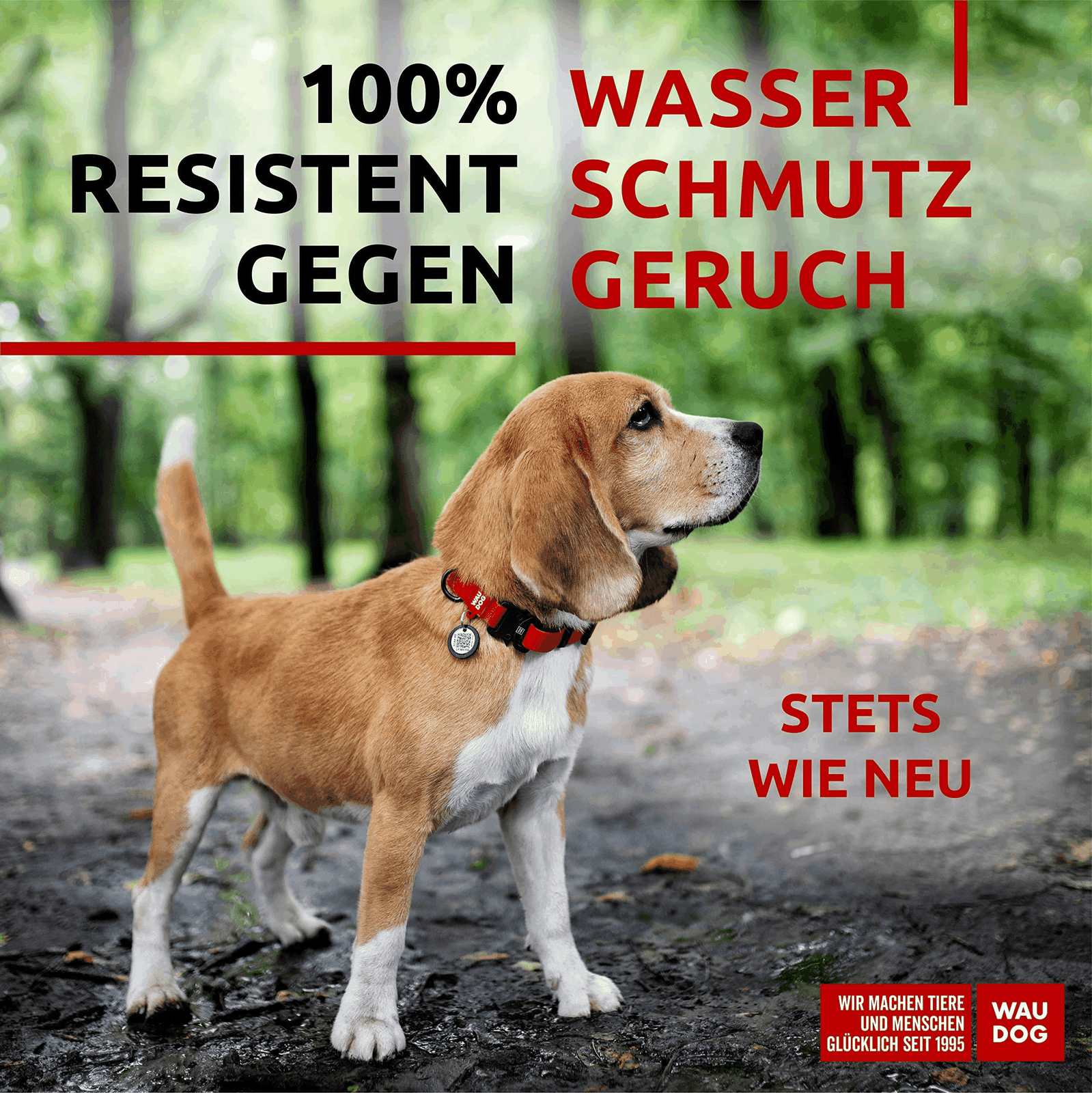 Bild 2 von 7