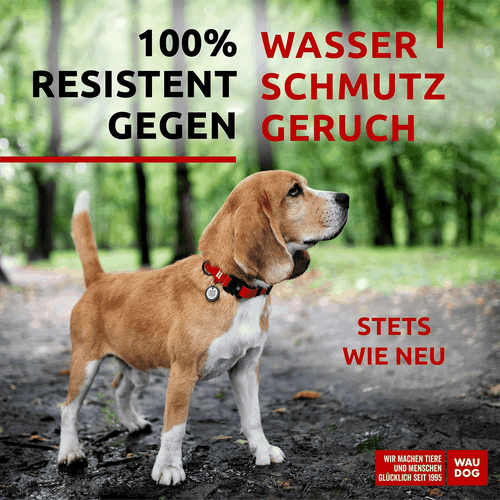 WAUDOG Waterproof Dog Collar   Adjustable Dog Collar for Large Dogs Small and - Imagen 2 de 7