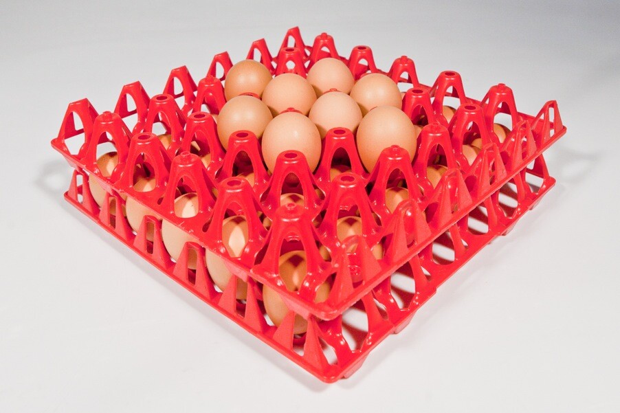 VASSOIO PORTA UOVA GALLINA OVOBOX | INCUBATRICI BOROTTO