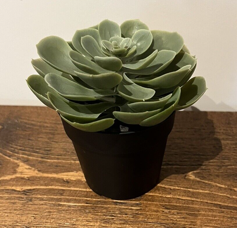 7 x IKEA FEJKA Artificial Potted Plants 3 x 9cm and 4 x 6cm Pot