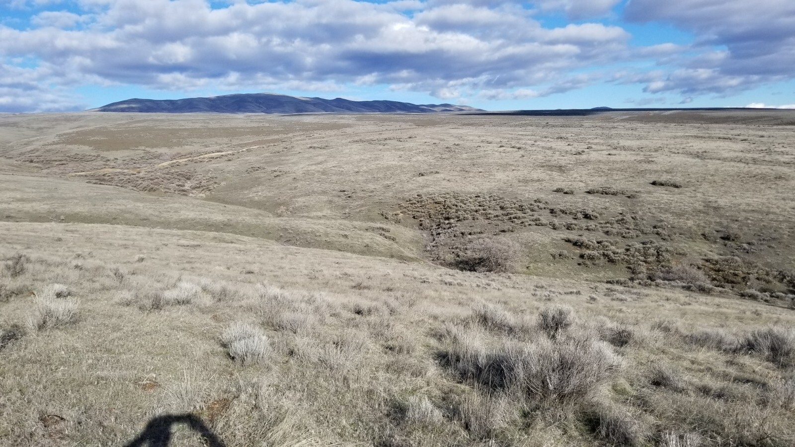 (14 acres) Vacant Land For Sale In Yakima County (Moxee, WA). 22,000