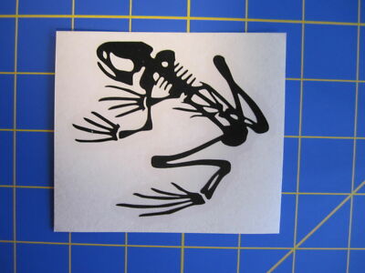 Skeleton Frog Decal 