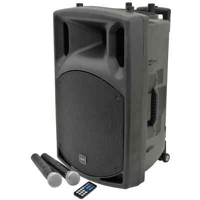 15 Zoll tragbares PA-System USB/FM Bluetooth QX15PA drahtlose Mikrofone Netz Akku Strom