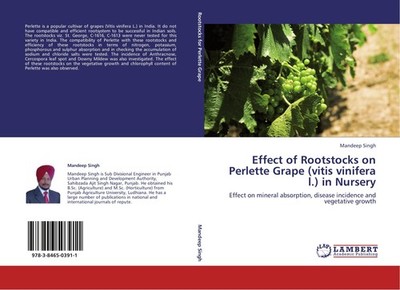 Effect of Rootstocks on Perlette Grape (vitis vinifera l.) in Nursery Mandeep Si