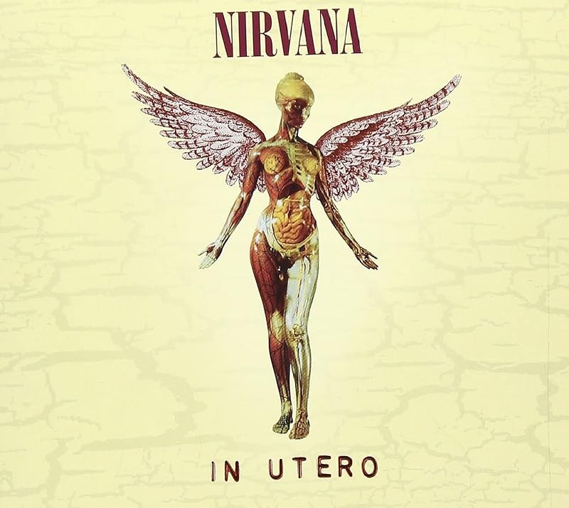 【廃盤レコード】Original Mix・Nirvana・In Utero Amazon.com: Nirvana - In Utero (2013 Mix) - Lp Vinyl Record