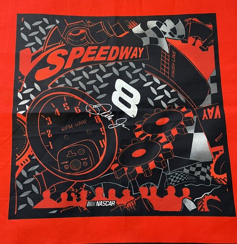 Nascar Speedway #8 Dale Jr. 16.5" square cotton 2 pieces Fabric pillow red black - Picture 2 of 6