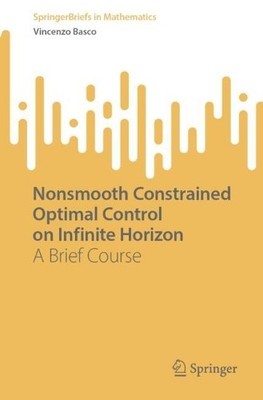 Nonsmooth Constrained Optimal Control on Infinite Horizon - 9783032089373