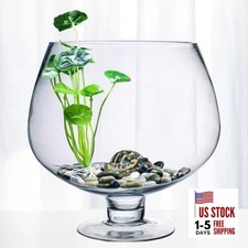  Glass Fish Bowl Vase - Clear Bubble Planter Terrarium Fish Bowl Wine Goblet 