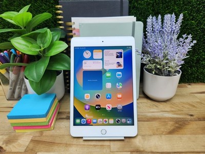 Apple iPad Mini 5th Gen 7.9'' 64GB Storage Space Gray ~