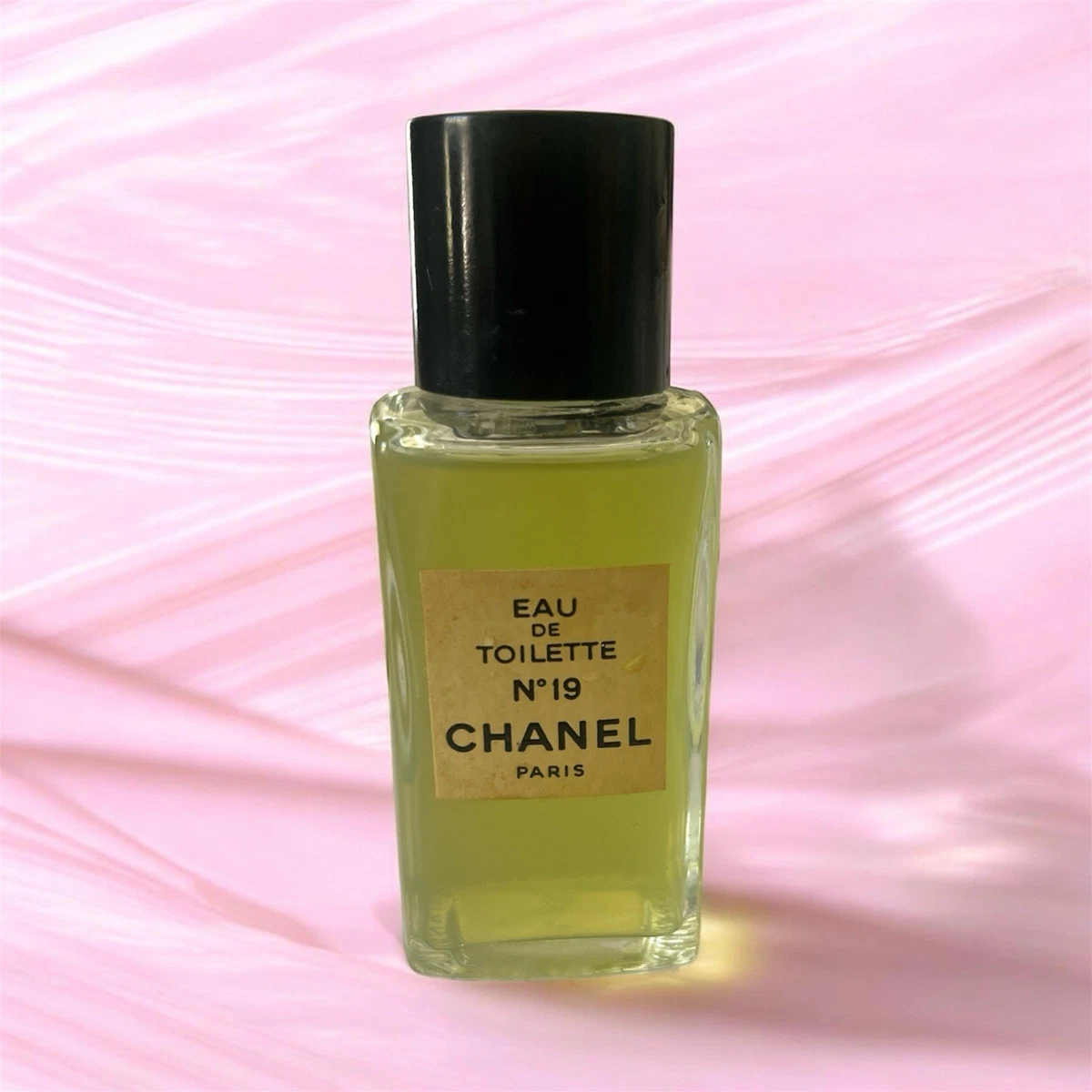 CHANEL Chanel No 19 Eau de Toilette for Women for sale | eBay