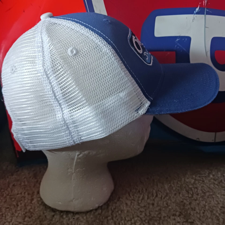 Gorra Denny Hamlin Overton's 301 Joe Gibbs Racing Team emitida Victory Lane NH Foto 4 de 4