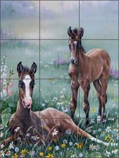 Ceramic Tile Mural Kitchen Backsplash Forget Horse Foal Colt Equine Art VFA019