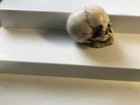Skull gear shift knob made of cold cast resin by Summit 3x 2 x 3.25 — photo 4