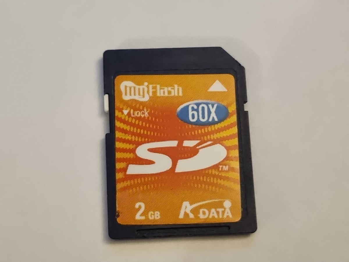 Scheda SD Kingston 2 GB Dimensioni Intere Per Fotocamera 3DS WII