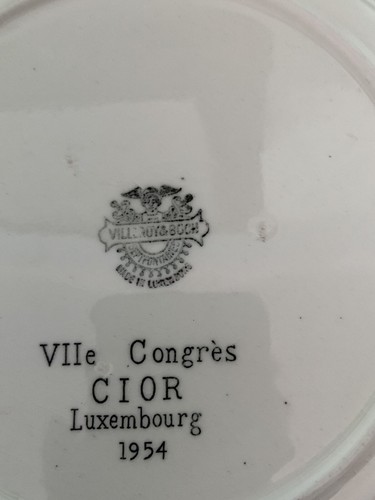 1954 dated VILLEROY & BOCH 9-1/4” PLATE of LUXEMBOURG EN 1835 ETCHING BY N. LIEZ - Picture 8 of 8