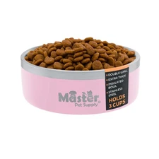 Stainless Steel Small Double Wall Dog Bowl with Anti Skid Base - Rose Quartz